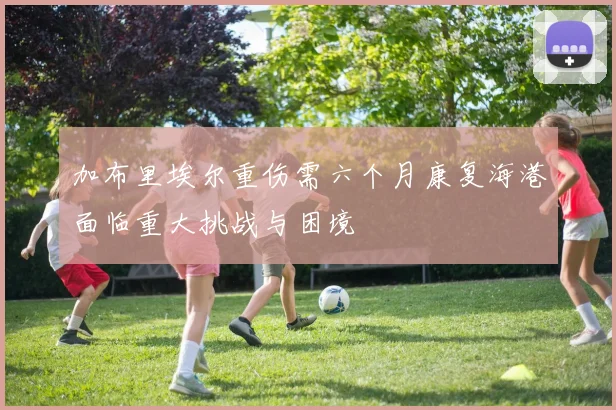 加布里埃尔重伤需六个月康复海港面临重大挑战与困境