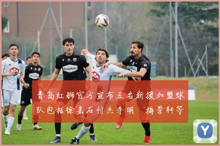 青岛红狮官方宣布五名新援加盟球队包括徐嘉石付杰李明璠梅景轩等球员