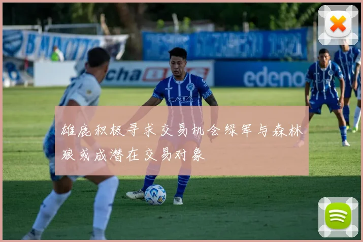 雄鹿积极寻求交易机会绿军与森林狼或成潜在交易对象